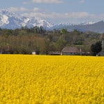Experiencing Beauty in Nature