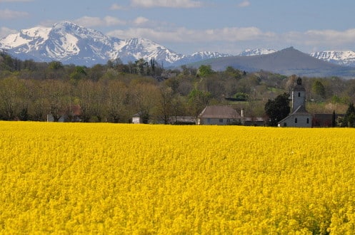 Experiencing Beauty in Nature